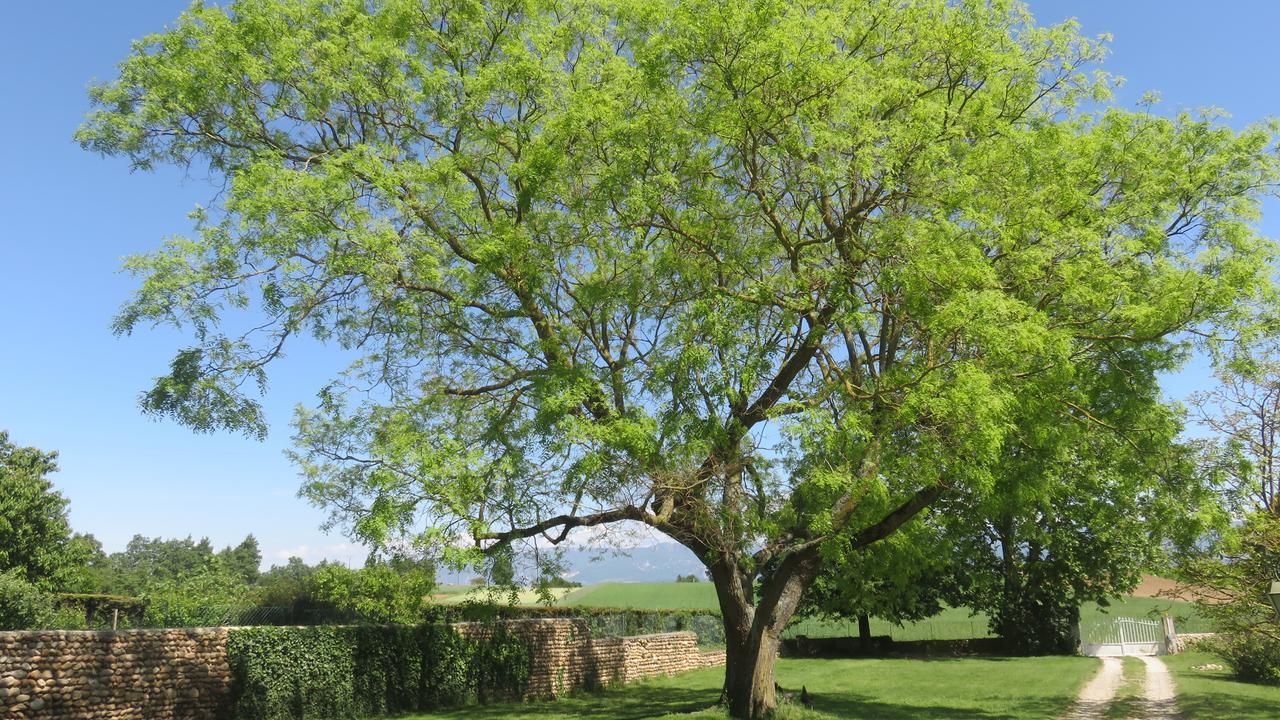 A La Belle Histoire Panzió Châteauneuf-sur-Isère Kültér fotó