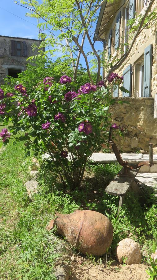 A La Belle Histoire Panzió Châteauneuf-sur-Isère Kültér fotó